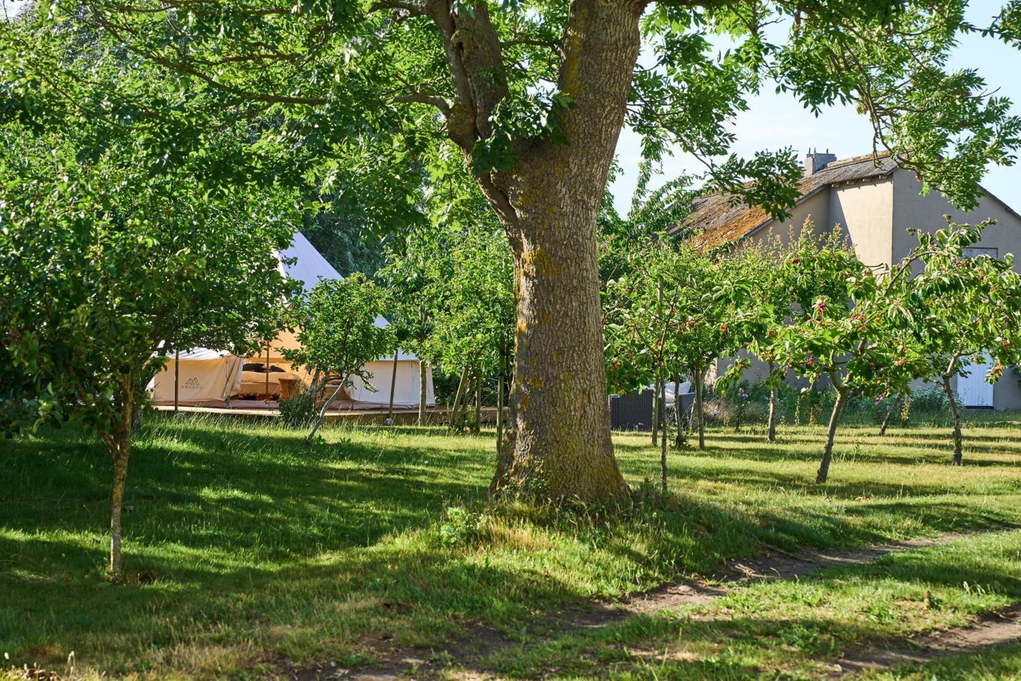 Hesselgaard Glamping 호텔 달비 외부 사진